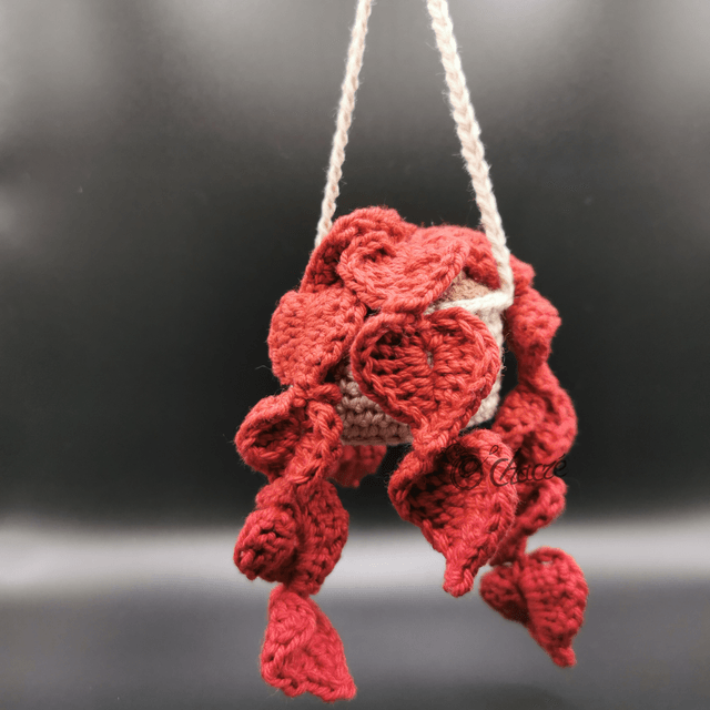 Suspension coeur