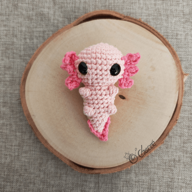 Axolotl